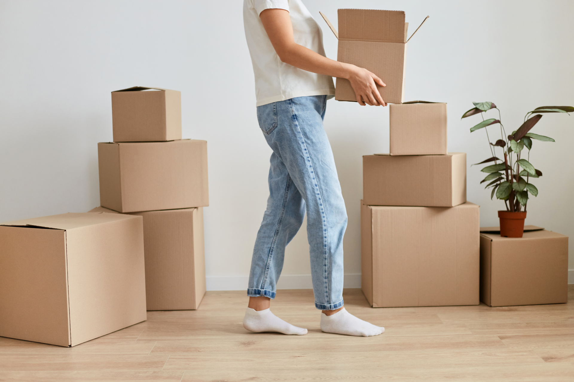 A person is carrying a moving box in a well lit room. There are other boxes in view as well as a small plant.